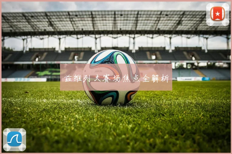 兹维列夫赛场焦点全解析