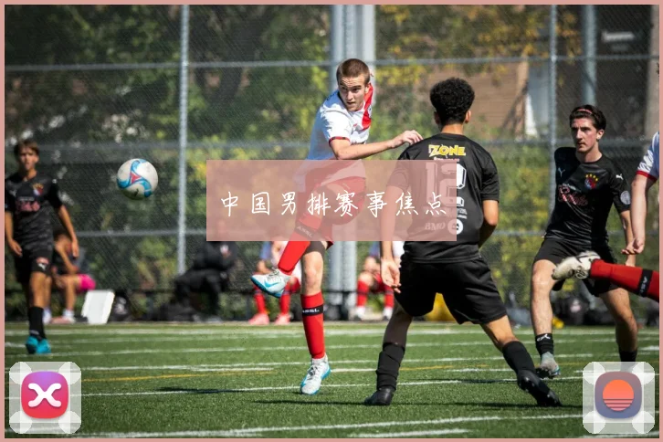 中国男排赛事焦点