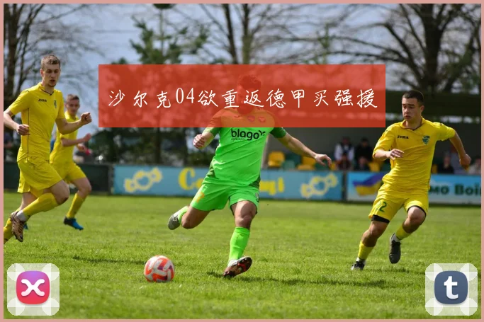 沙尔克04欲重返德甲买强援